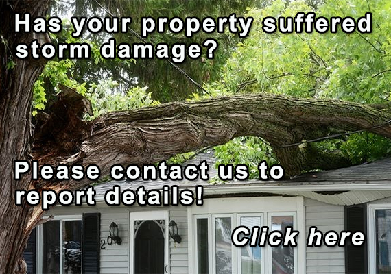 Storm Damage Assessment Form